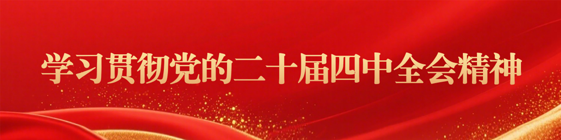 學(xué)習(xí)宣傳貫徹黨的二十屆四中全會精神